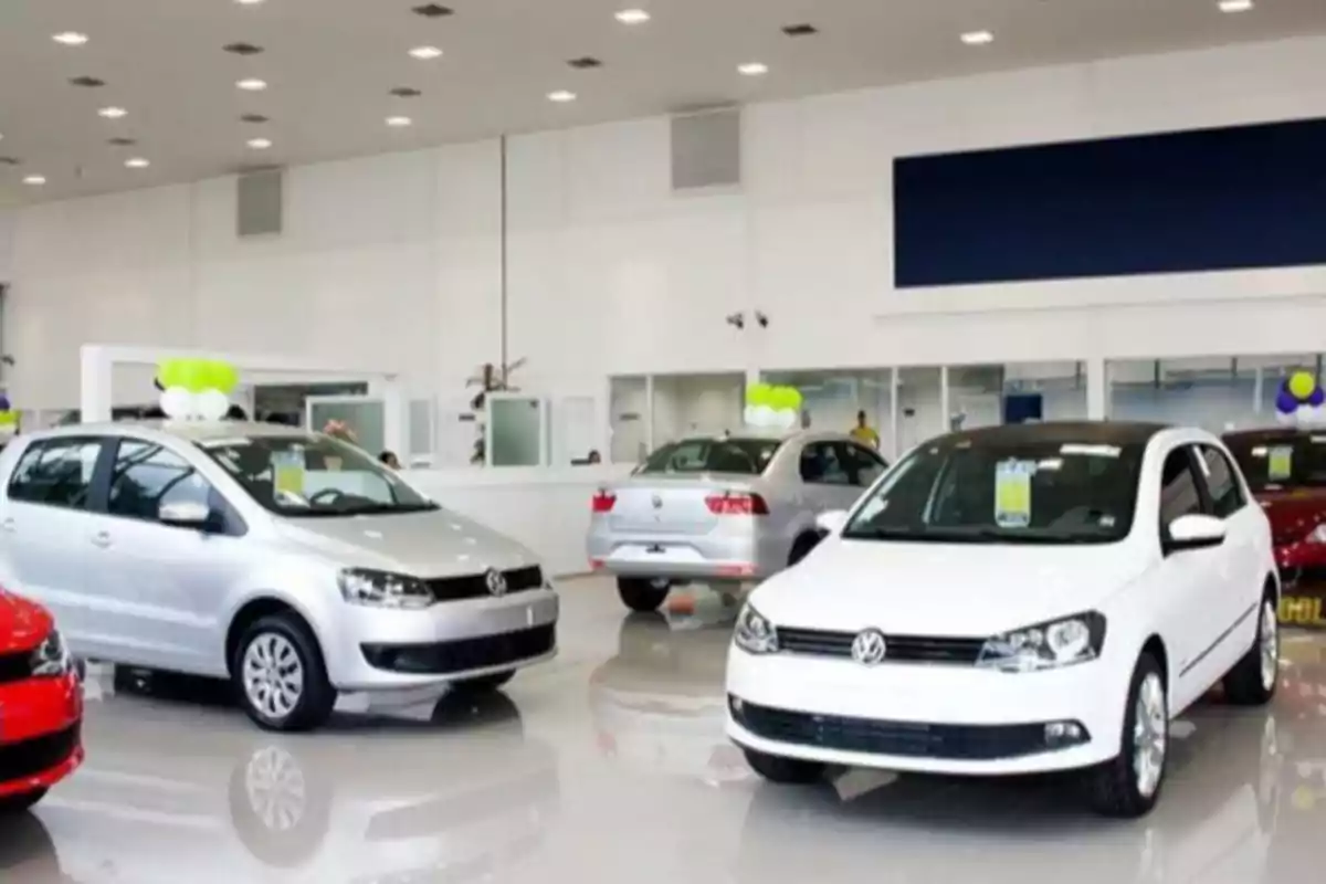 Several new cars displayed inside a brightly lit car dealership