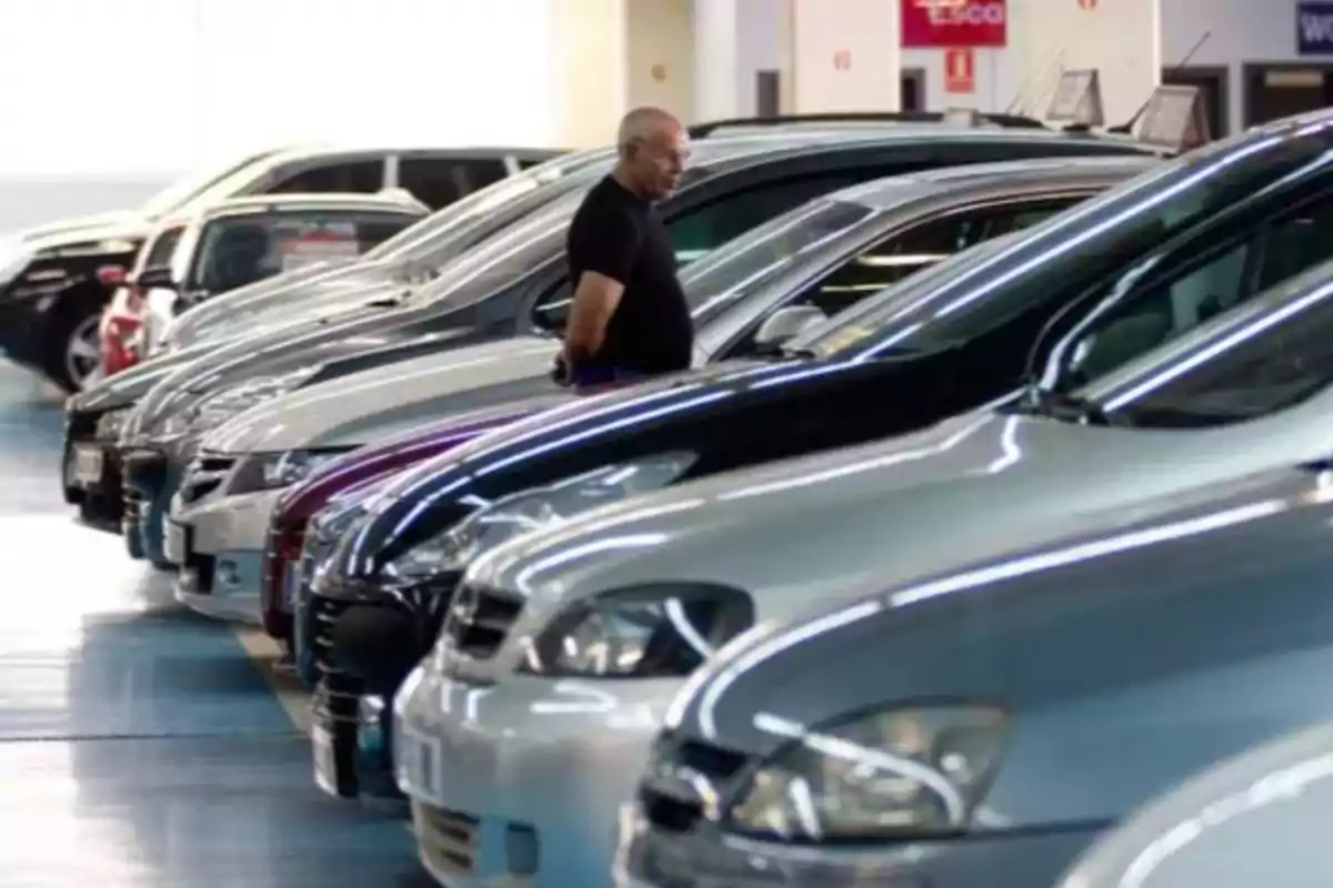 Man observing a row of cars parked inside a dealership Man observing a row of cars parked inside a dealership