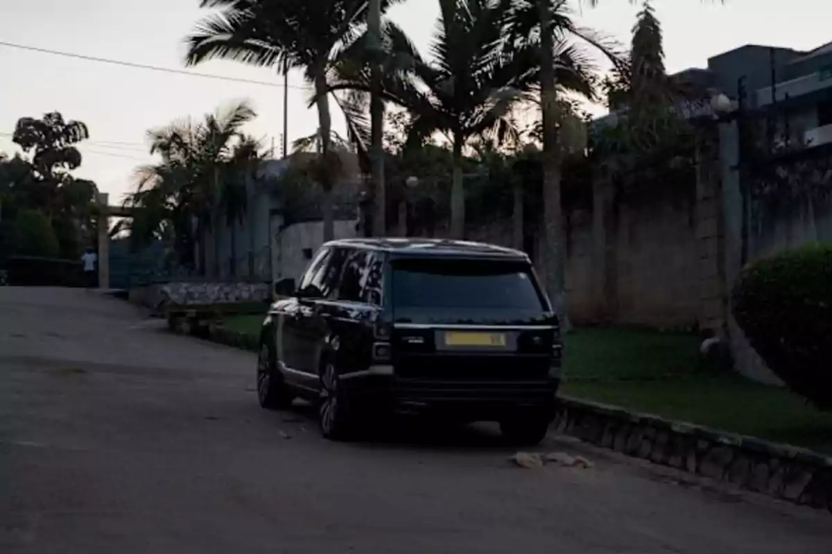 Una camioneta negra estacionada en una calle residencial rodeada de palmeras y un muro de piedra Una camioneta negra estacionada en una calle residencial rodeada de palmeras y un muro de piedra