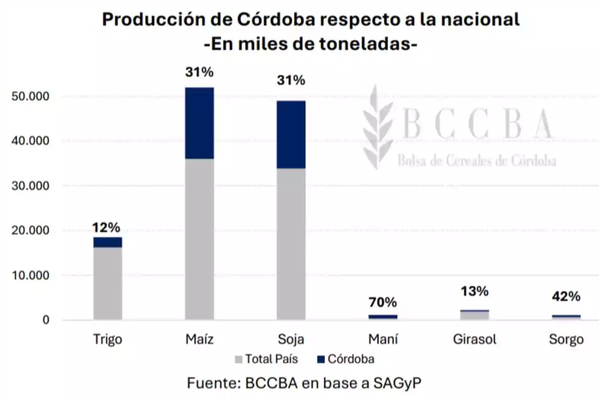 Gráfico de barras que compara la producción de Córdoba con la nacional en miles de toneladas para trigo, maíz, soja, maní, girasol y sorgo, mostrando los porcentajes de participación de Córdoba en cada cultivo Gráfico de barras que compara la producción de Córdoba con la nacional en miles de toneladas para trigo, maíz, soja, maní, girasol y sorgo, mostrando los porcentajes de participación de Córdoba en cada cultivo
