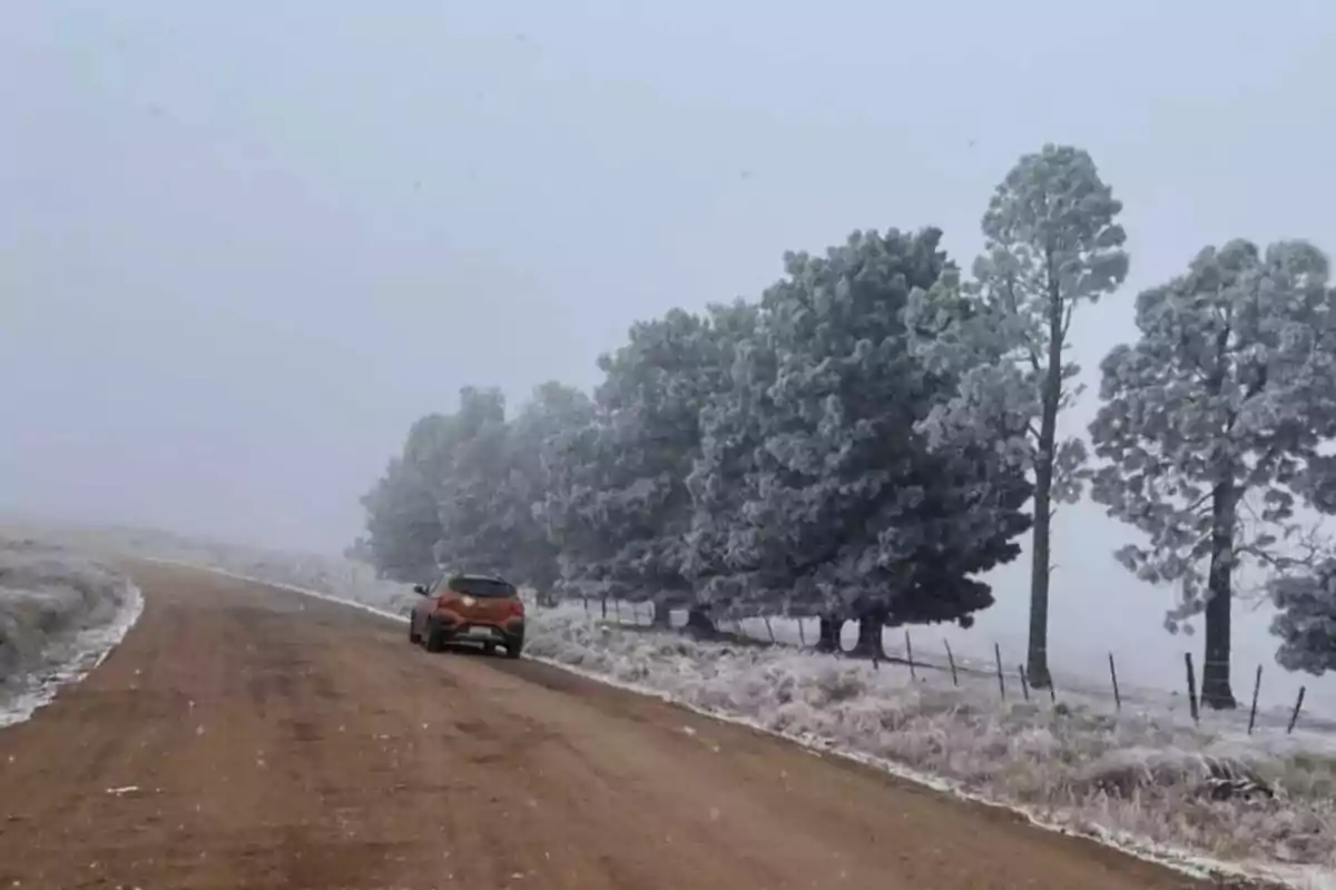 Un auto naranja circula por un camino de terracería rodeado de árboles cubiertos de escarcha en un ambiente frío y neblinoso.