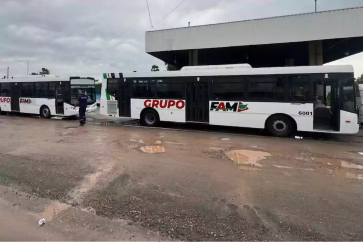 Two white buses with the words GRUPO FAM parked next to a roofed structure on a lot with puddles and mud Two white buses with the words GRUPO FAM parked next to a roofed structure on a lot with puddles and mud