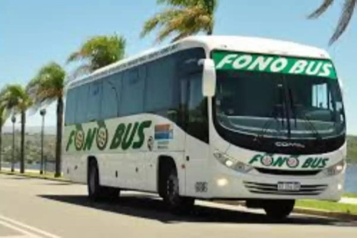 A white Fono Bus company van is driving down an avenue lined with palm trees under a clear sky. A white Fono Bus company van is driving down an avenue lined with palm trees under a clear sky.