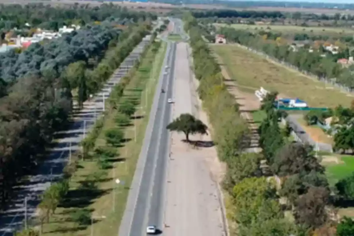 Vista aérea de una avenida rodeada de árboles con algunos autos circulando y áreas verdes a ambos lados Vista aérea de una avenida rodeada de árboles con algunos autos circulando y áreas verdes a ambos lados