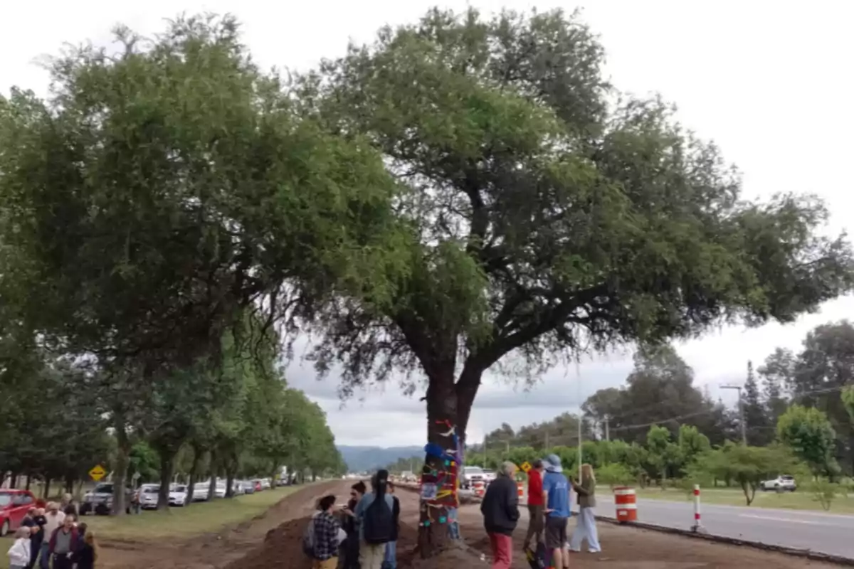 Un grupo de personas se reúne alrededor de un árbol grande decorado con tejidos de colores junto a una carretera rodeada de vegetación y autos estacionados.