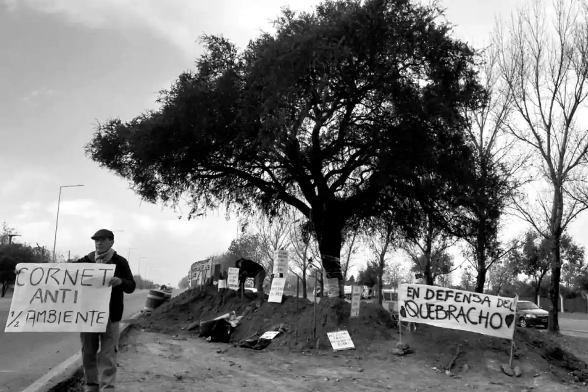Un hombre sostiene un cartel mientras varias personas protestan alrededor de un gran árbol con pancartas que defienden el medio ambiente y la preservación del quebracho Un hombre sostiene un cartel mientras varias personas protestan alrededor de un gran árbol con pancartas que defienden el medio ambiente y la preservación del quebracho