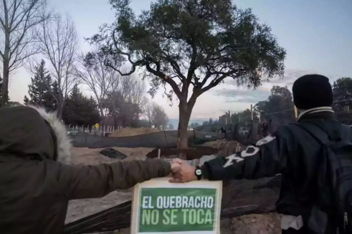Two people hold hands in front of a large tree while holding a sign that says Two people hold hands in front of a large tree while holding a sign that says