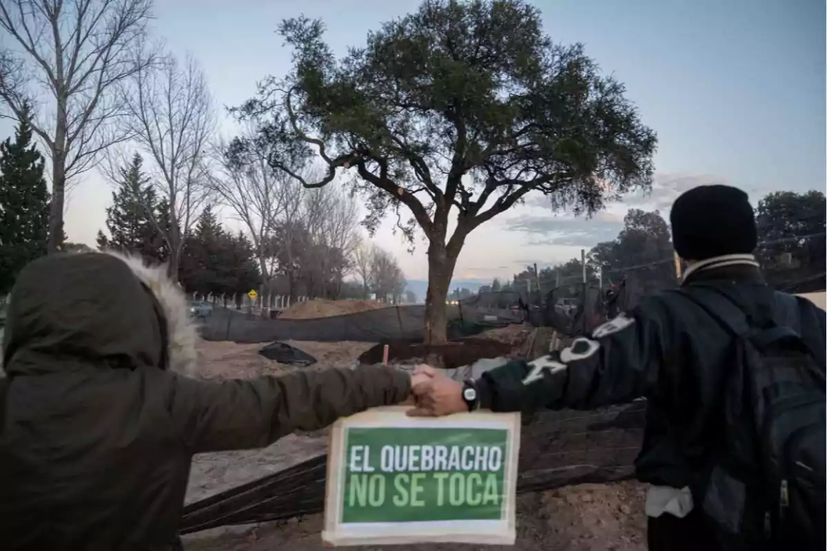 Two people hold hands in front of a large tree while holding a green sign that says Two people hold hands in front of a large tree while holding a green sign that says