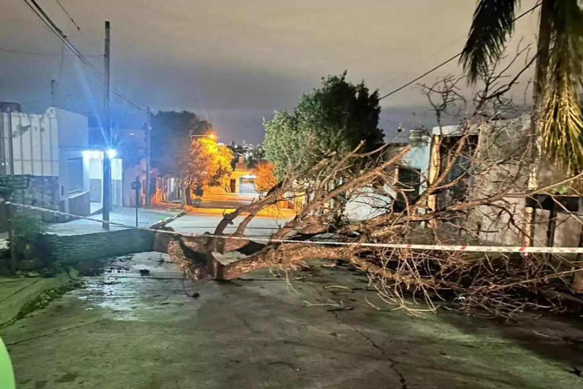Fallen tree blocking a street in an urban area at night with caution tape around it