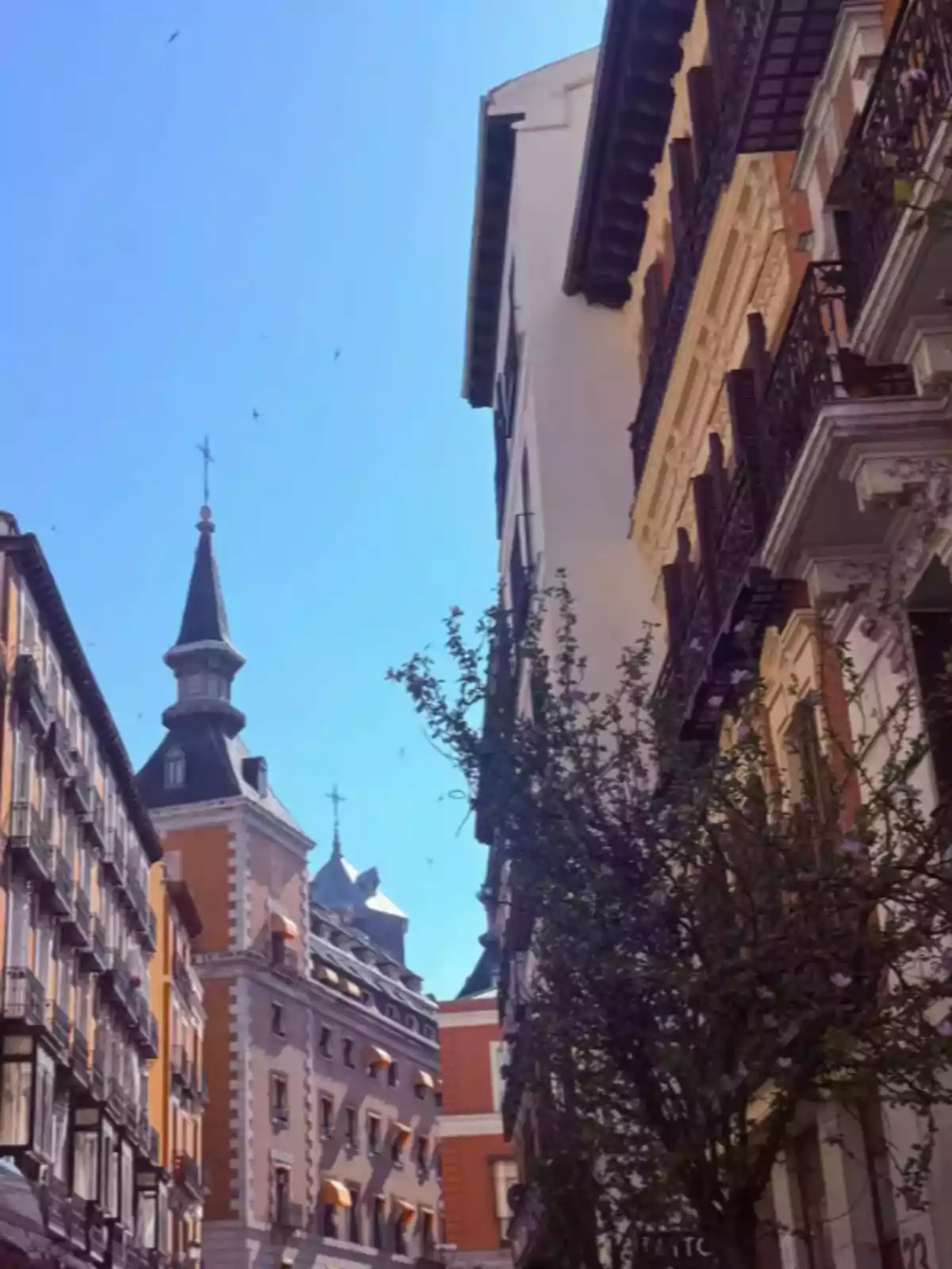 Narrow street with old buildings and a tree in the foreground under a clear blue sky Narrow street with old buildings and a tree in the foreground under a clear blue sky
