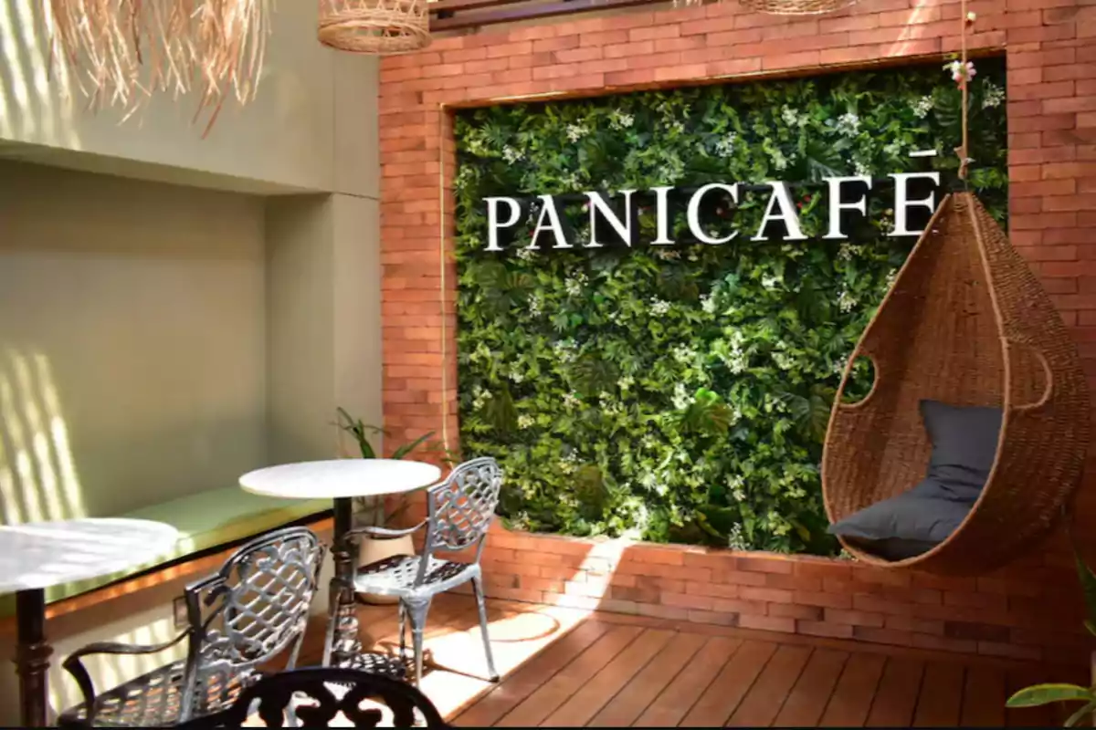 Café terrace with metal chairs and tables, a wicker swing, and a wall decorated with plants and the sign PANICAFÉ Café terrace with metal chairs and tables, a wicker swing, and a wall decorated with plants and the sign PANICAFÉ