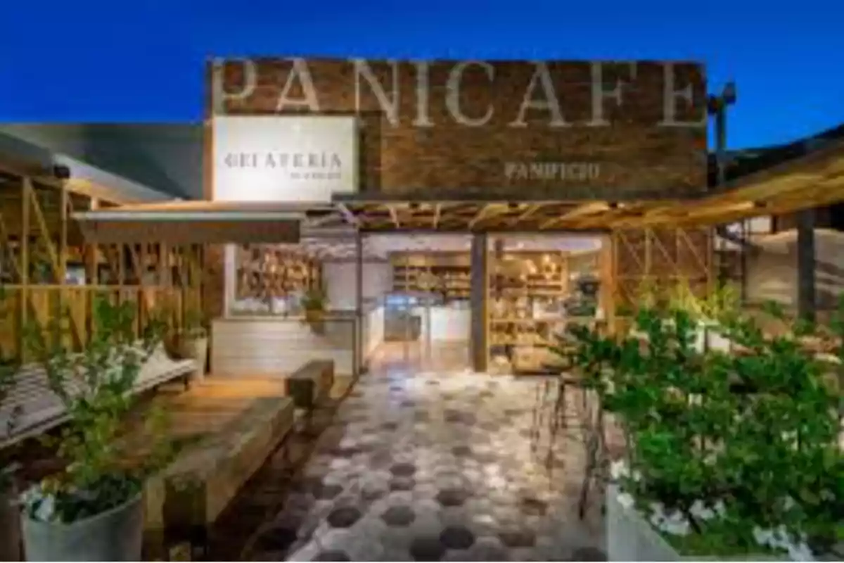 Modern café with outdoor terrace, wooden benches, and decorative plants, illuminated at dusk