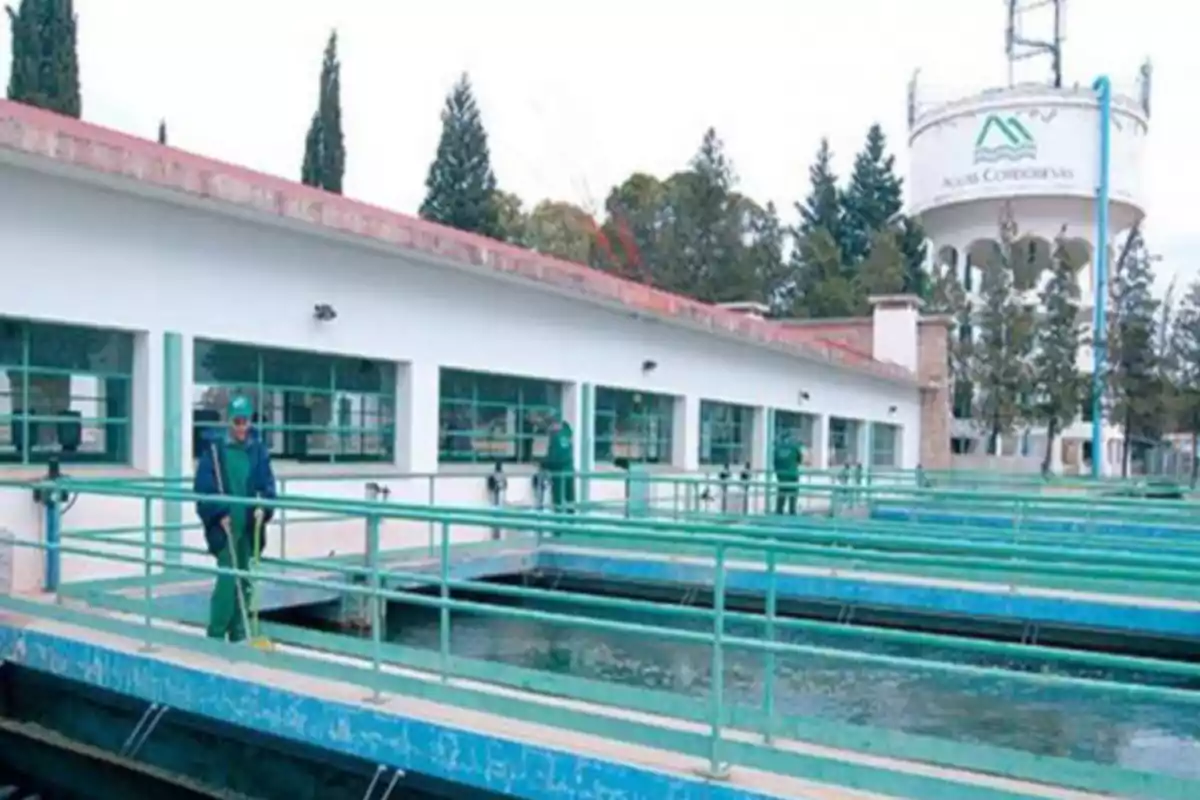 Trabajadores con uniforme verde laboran en una planta de tratamiento de agua con barandales azules y un tanque elevado al fondo rodeado de árboles