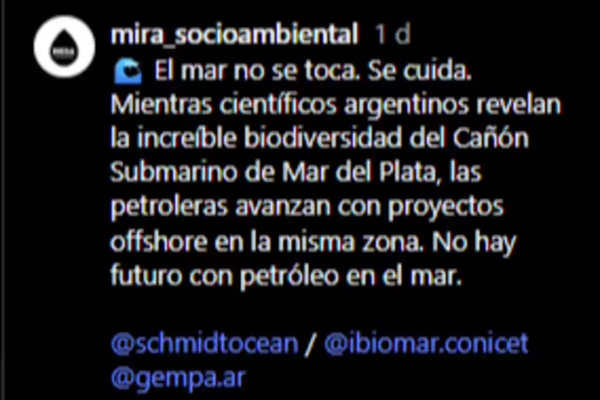 Instagram post by mira_socioambiental with a message about the importance of protecting the sea and the biodiversity of the Mar del Plata Submarine Canyon, warning about the risks of offshore oil projects in the area and stating that there is no future with oil in the sea, accompanied by mentions of other related accounts. Instagram post by mira_socioambiental with a message about the importance of protecting the sea and the biodiversity of the Mar del Plata Submarine Canyon, warning about the risks of offshore oil projects in the area and stating that there is no future with oil in the sea, accompanied by mentions of other related accounts.