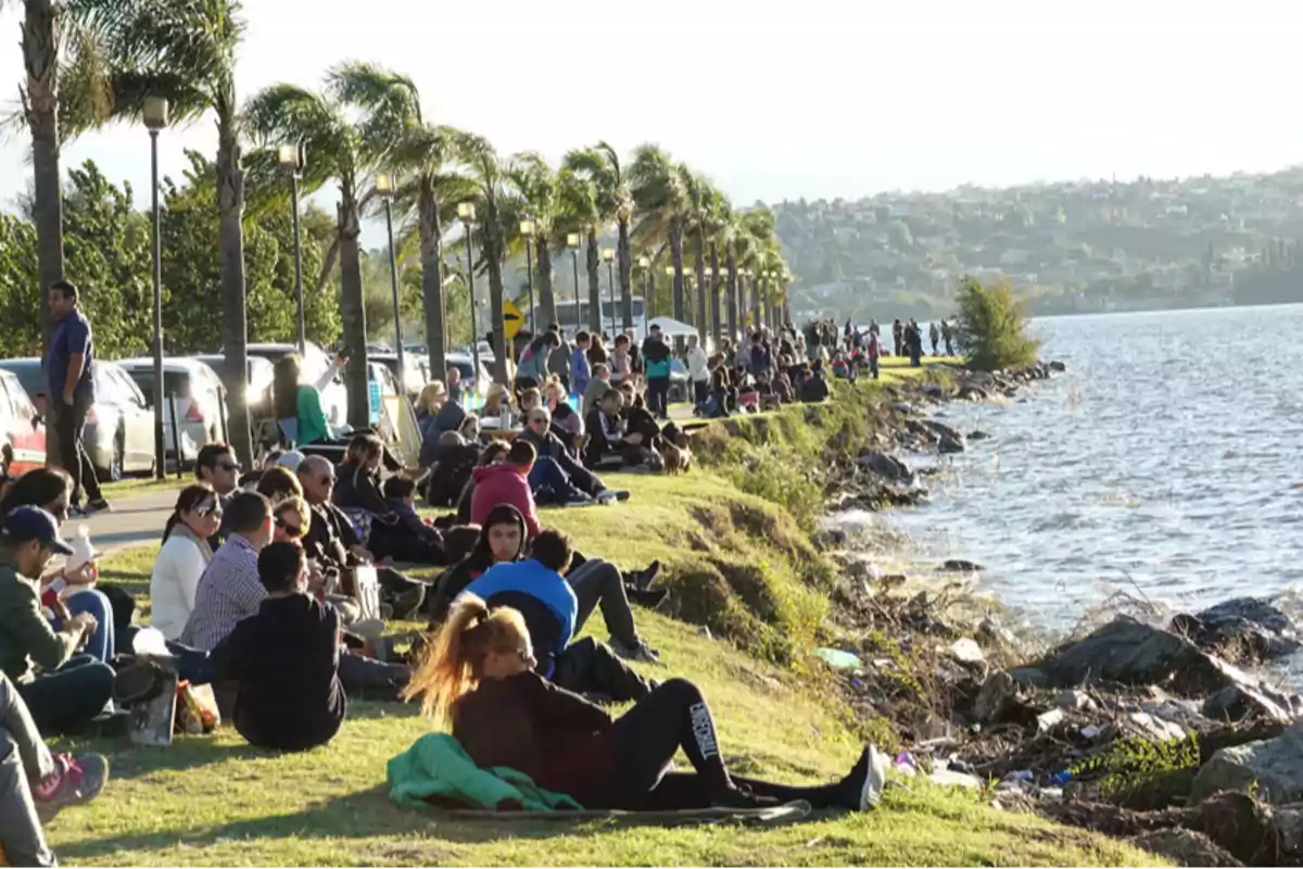 Muchas personas sentadas en el pasto junto a un lago disfrutando de una tarde soleada con palmeras alineadas y autos estacionados al fondo