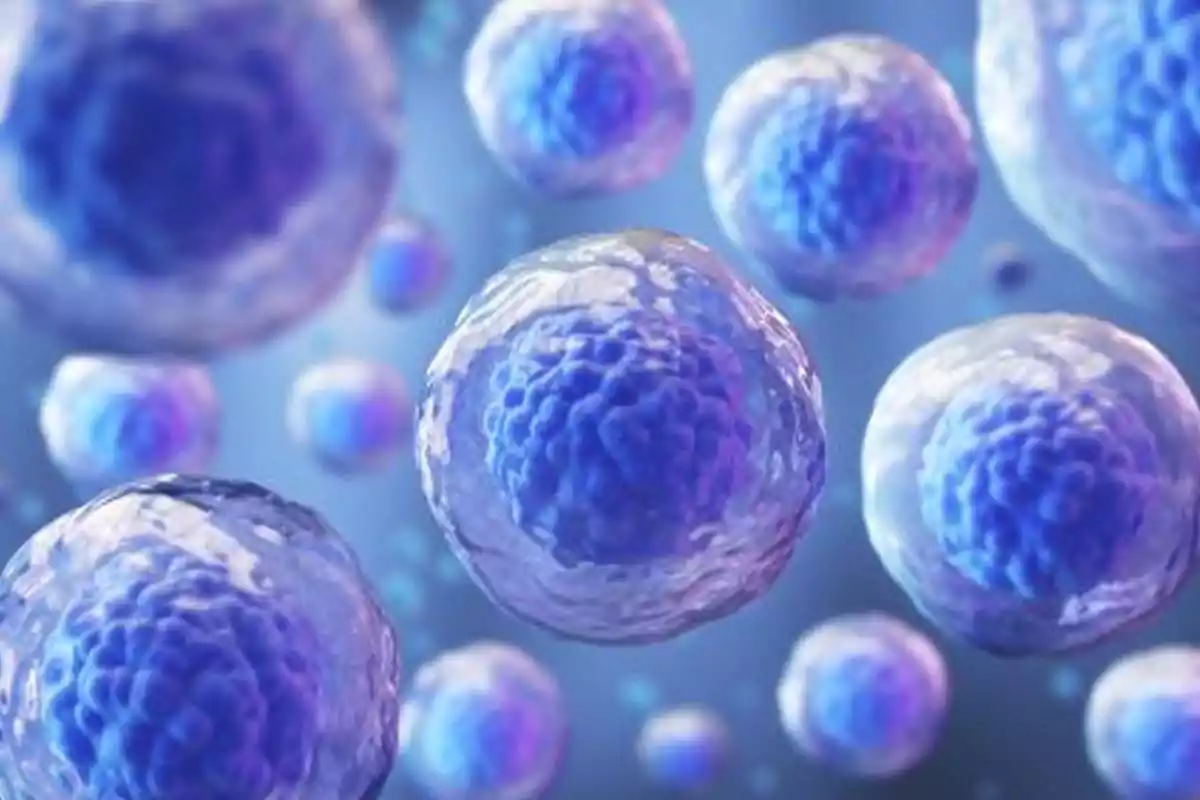 Células vistas al microscopio con un fondo azul difuminado Células vistas al microscopio con un fondo azul difuminado
