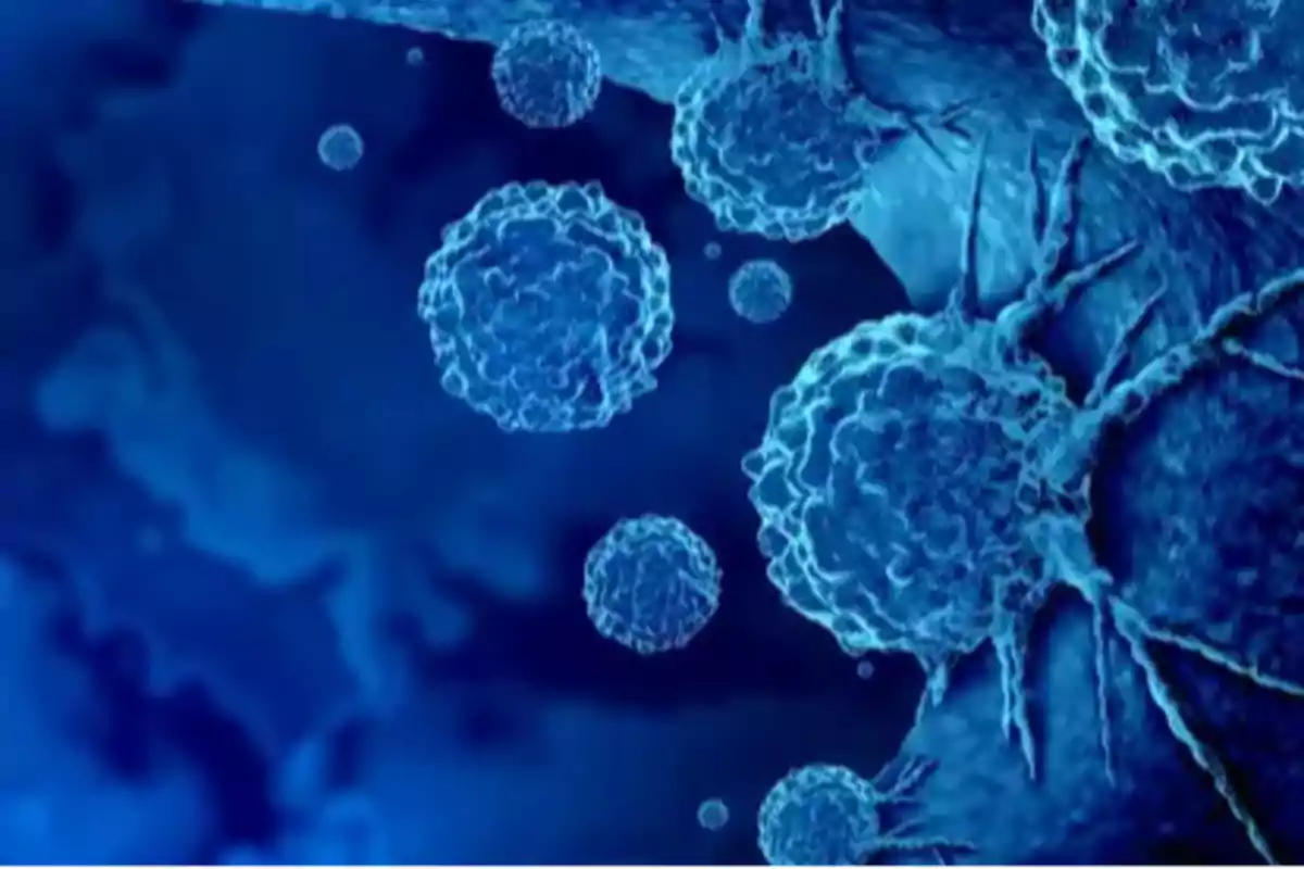 Células vistas al microscopio con apariencia tridimensional en tonos azules