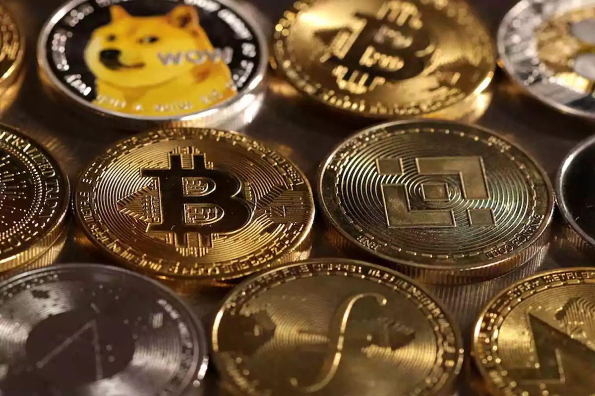 Varias monedas físicas de diferentes criptomonedas como Bitcoin, Dogecoin y Binance Coin colocadas una junto a otra sobre una superficie plana Varias monedas físicas de diferentes criptomonedas como Bitcoin, Dogecoin y Binance Coin colocadas una junto a otra sobre una superficie plana