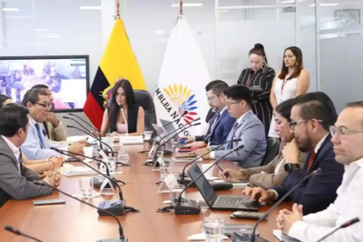 Personas reunidas en una sala de juntas con banderas de Ecuador y de la Asamblea Nacional al fondo, algunas personas están usando computadoras portátiles y micrófonos sobre la mesa