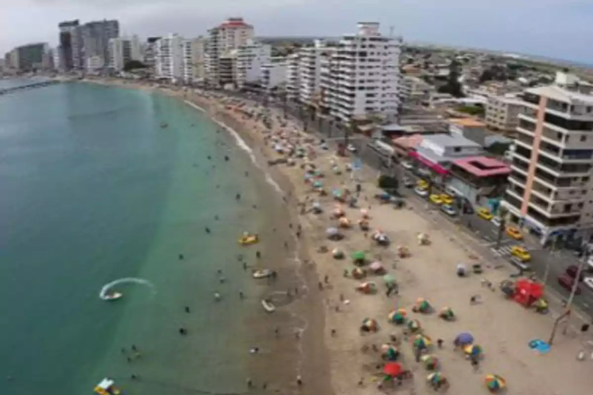 Vista aérea de una playa urbana con sombrillas de colores, personas disfrutando del mar y edificios altos junto a la costa