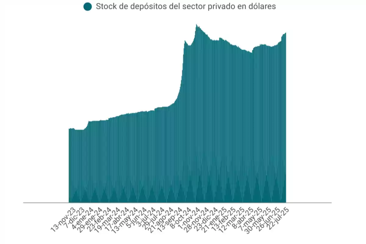 Gráfico de barras que muestra la evolución del stock de depósitos del sector privado en dólares entre noviembre de 2023 y julio de 2025 con un notable aumento a mediados del período y posterior estabilización. Gráfico de barras que muestra la evolución del stock de depósitos del sector privado en dólares entre noviembre de 2023 y julio de 2025 con un notable aumento a mediados del período y posterior estabilización.