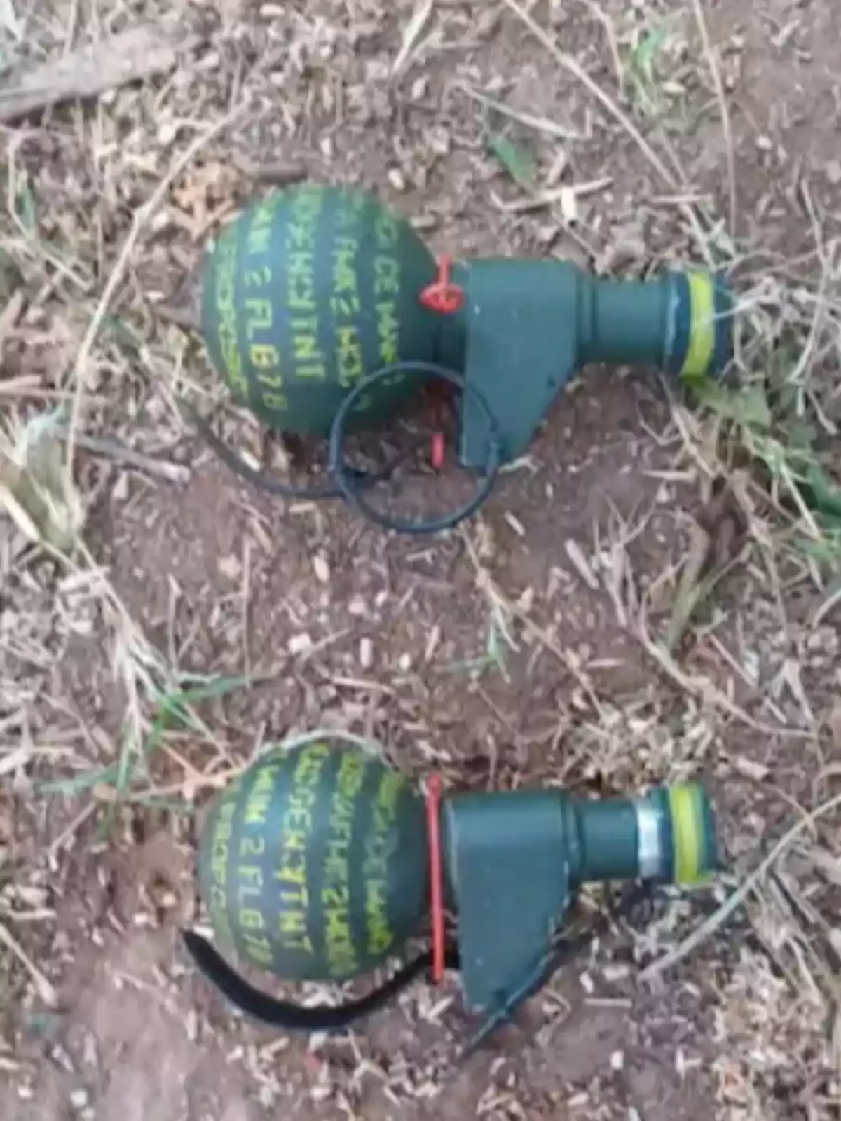 Two green hand grenades with yellow inscriptions are lying on the ground of dirt and dry grass. Two green hand grenades with yellow inscriptions are lying on the ground of dirt and dry grass.