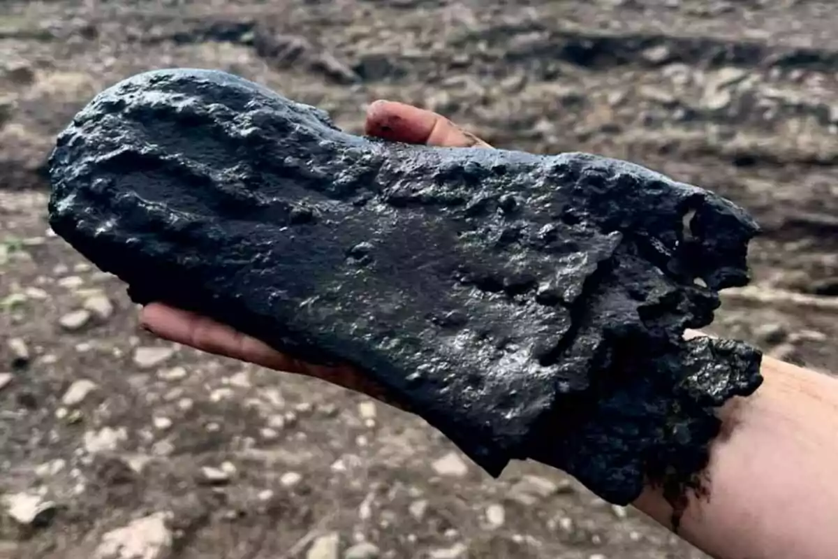 Persona sosteniendo un objeto oscuro y de forma irregular que parece estar cubierto de lodo o barro en un entorno al aire libre con suelo terroso. Persona sosteniendo un objeto oscuro y de forma irregular que parece estar cubierto de lodo o barro en un entorno al aire libre con suelo terroso.