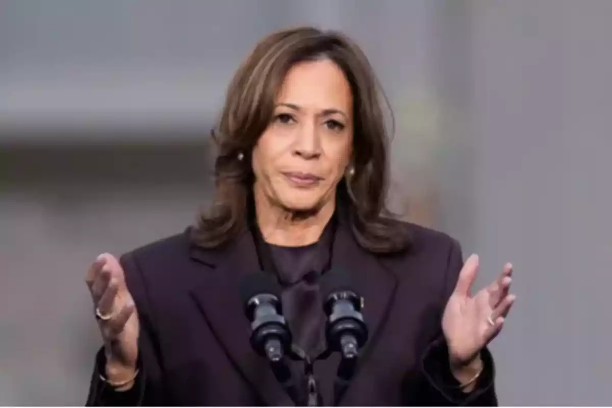 Brown-haired woman speaking in front of two microphones with her hands raised and a serious expression Brown-haired woman speaking in front of two microphones with her hands raised and a serious expression