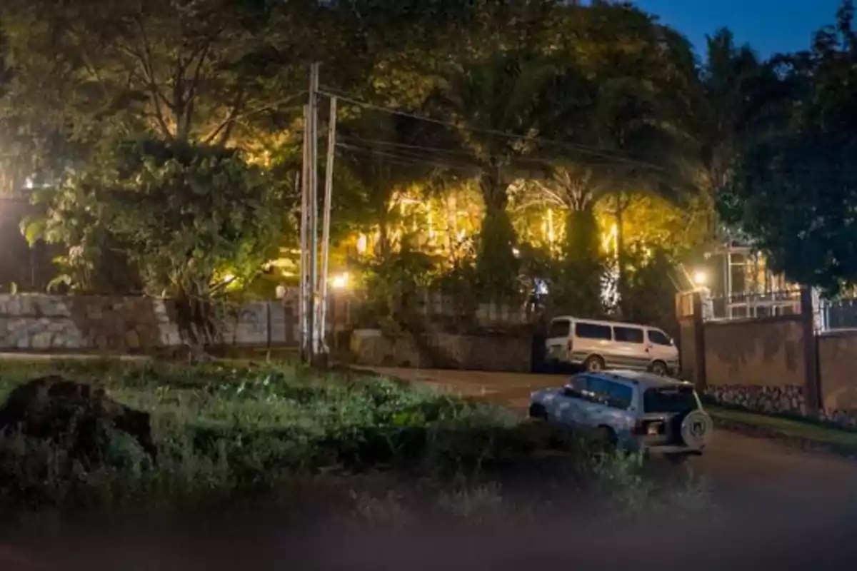 Calle tranquila de noche con dos autos estacionados y árboles iluminados al fondo Calle tranquila de noche con dos autos estacionados y árboles iluminados al fondo