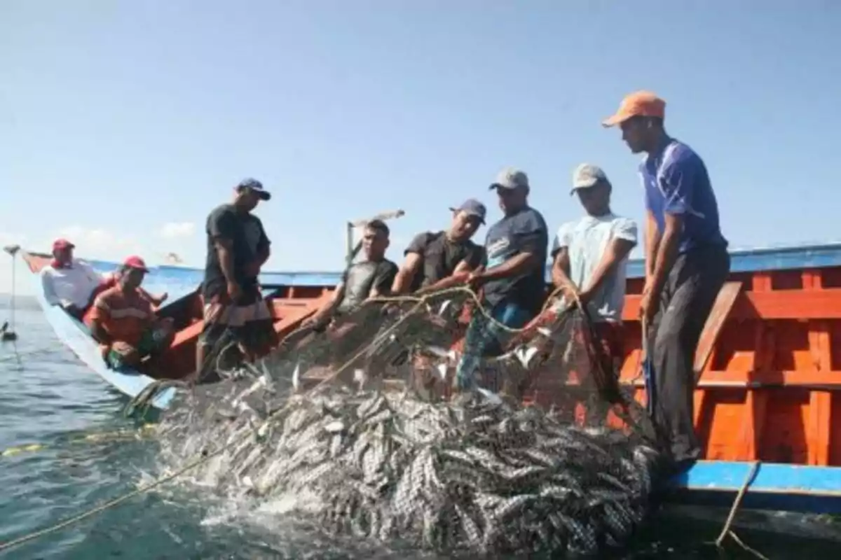 A group of fishermen in a boat pulling a net full of fish out of the sea on a sunny day