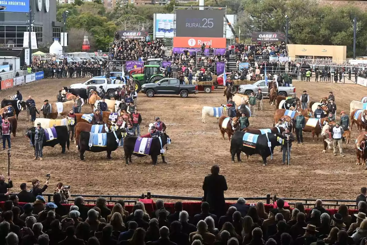 Exhibición de ganado en una feria rural con varias personas y animales en la pista mientras el público observa desde las gradas Exhibición de ganado en una feria rural con varias personas y animales en la pista mientras el público observa desde las gradas