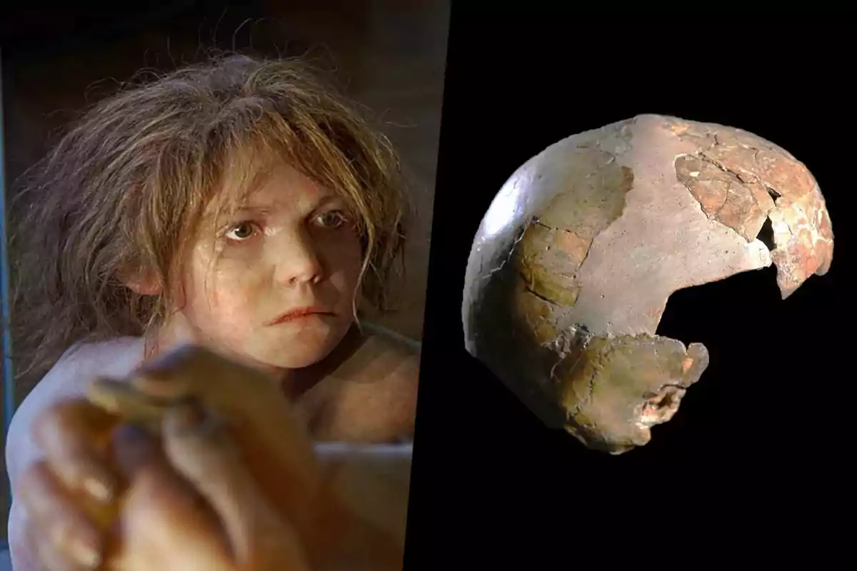 Artistic reconstruction of a Neanderthal child next to a fragmented fossil skull on a black background