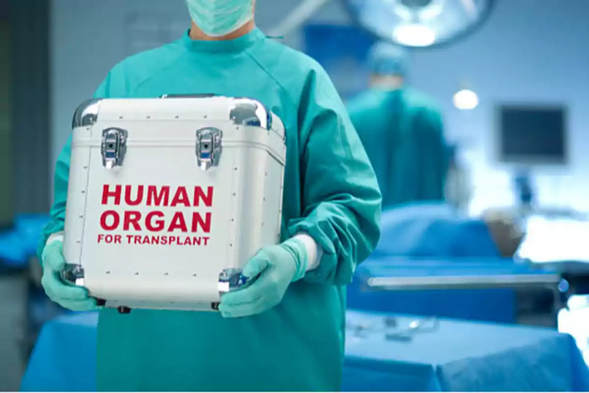 Medical personnel wearing gowns and gloves hold a white container for transporting human organs in an operating room.