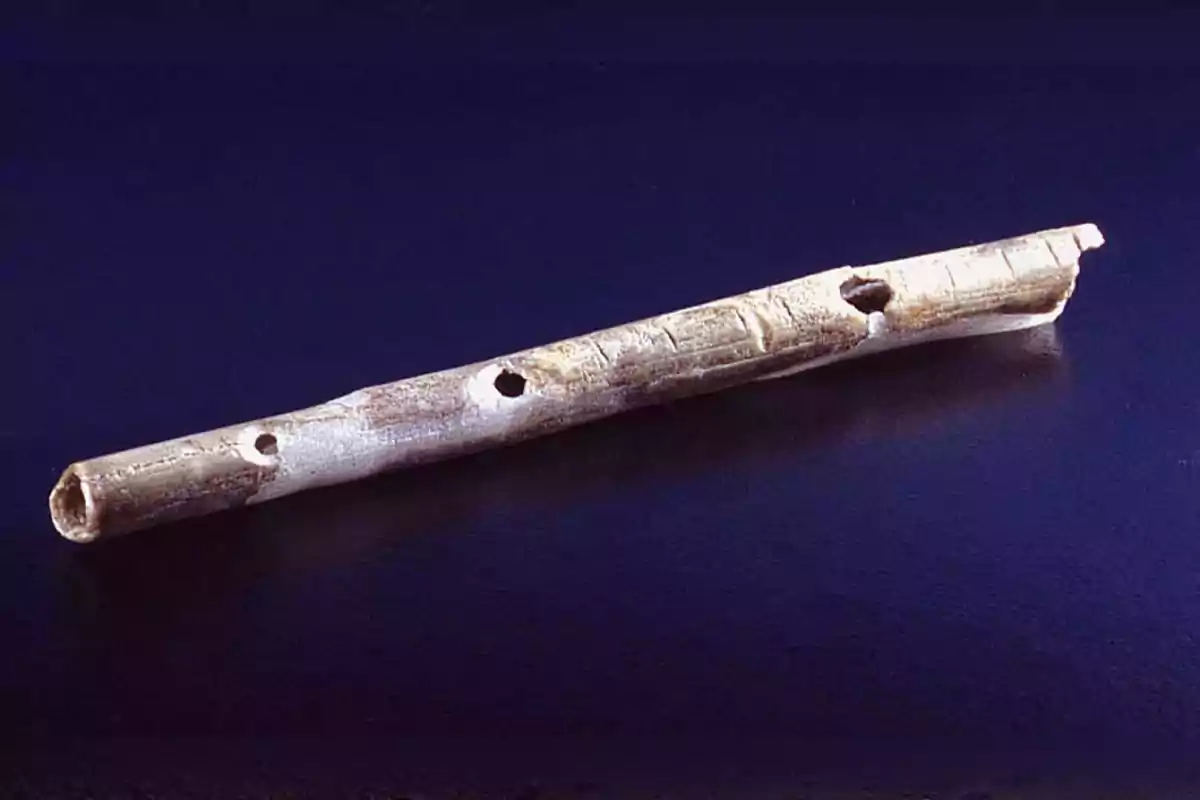 Ancient bone flute with several holes on a dark surface Ancient bone flute with several holes on a dark surface