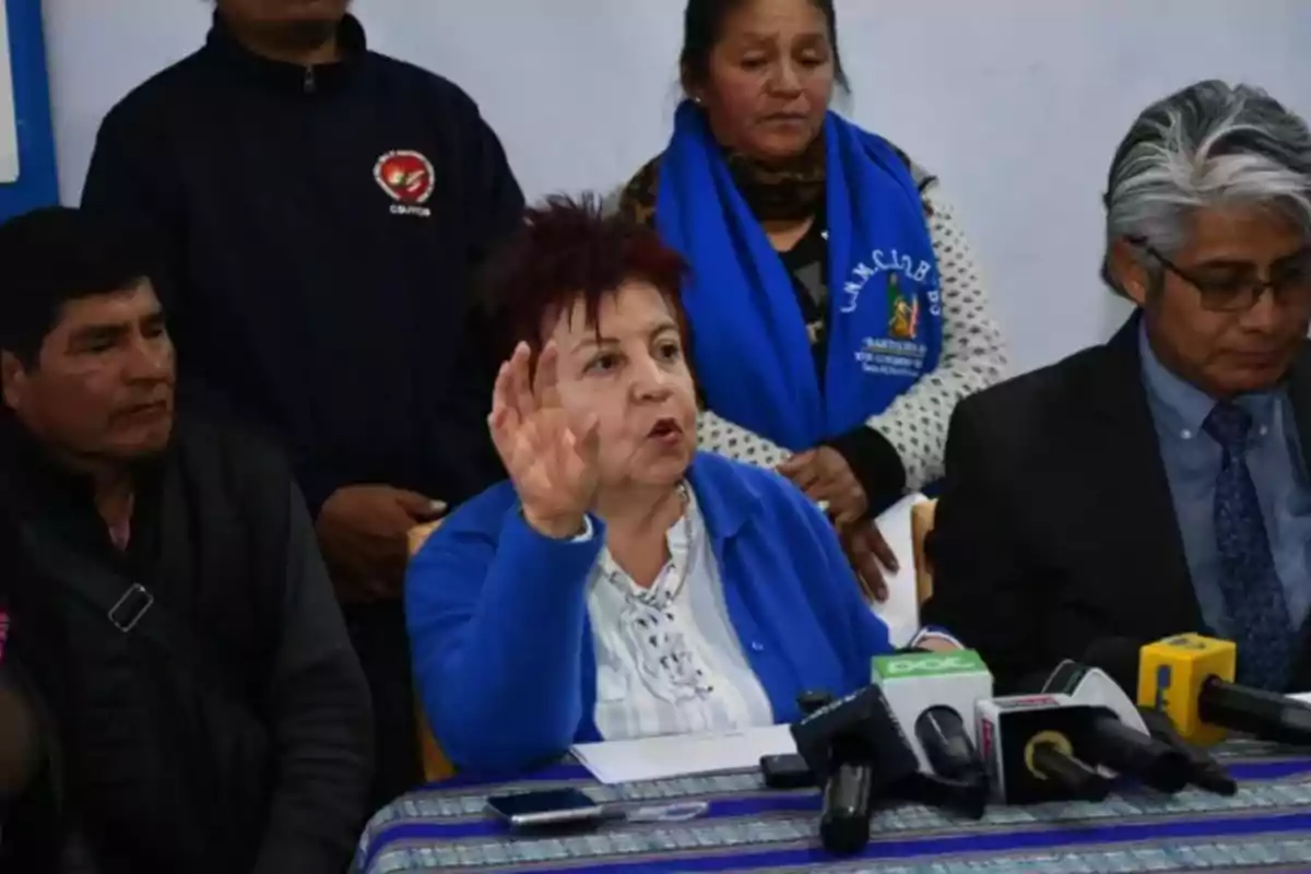 Una mujer de cabello corto y rojizo habla mientras levanta la mano en una conferencia de prensa, acompañada por otras personas y varios micrófonos frente a ella. Una mujer de cabello corto y rojizo habla mientras levanta la mano en una conferencia de prensa, acompañada por otras personas y varios micrófonos frente a ella.