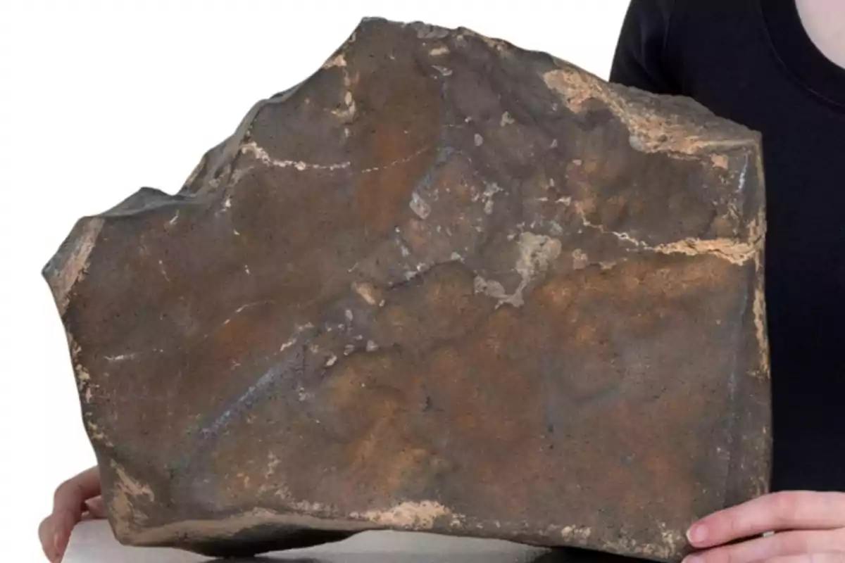 Person holding a large rock with a dark surface and rough texture Person holding a large rock with a dark surface and rough texture