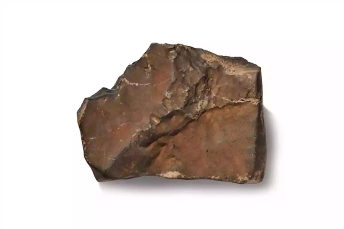 Irregularly shaped brown stone on a white background Irregularly shaped brown stone on a white background