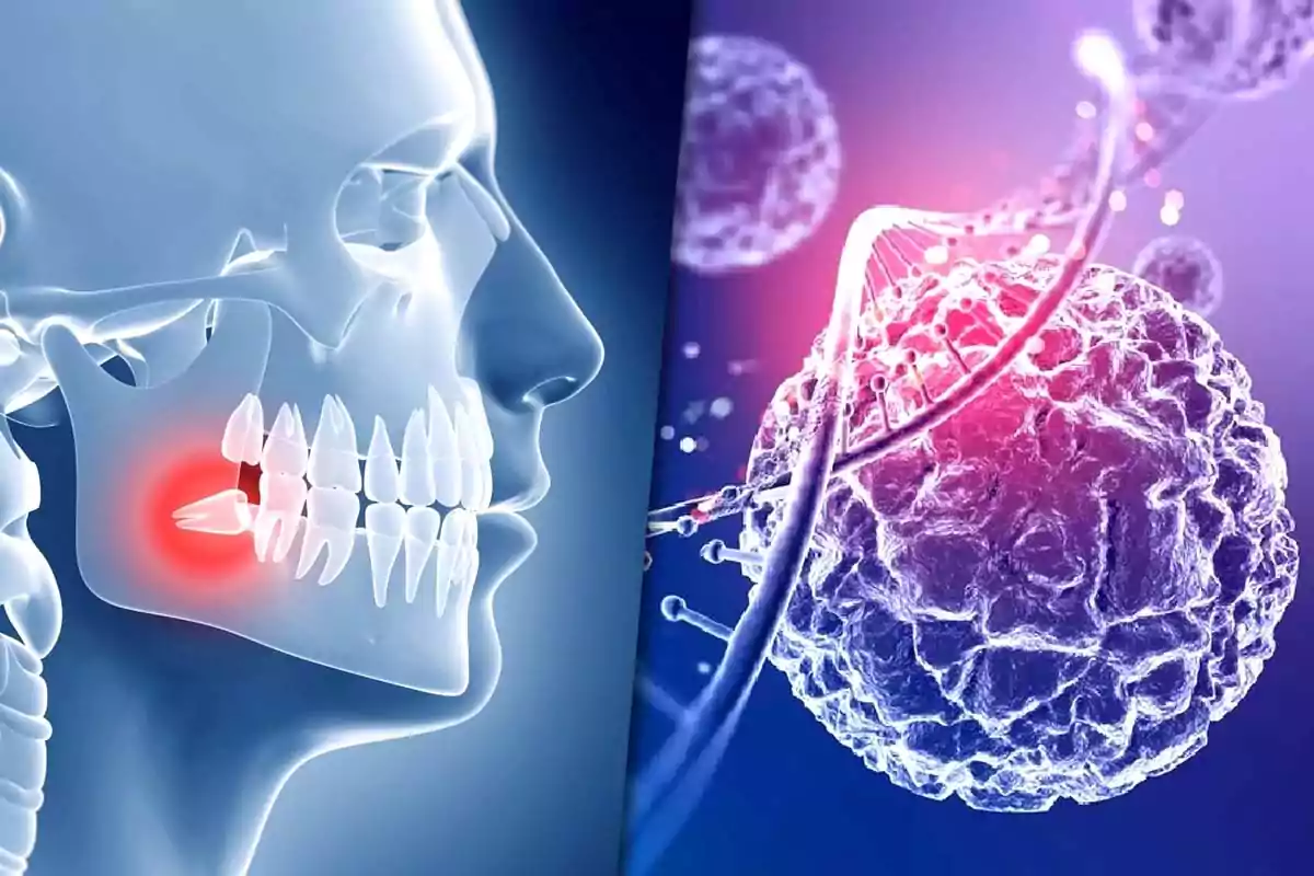 Illustration divided into two parts showing a wisdom toothache on the left and a representation of cells and DNA on the right
