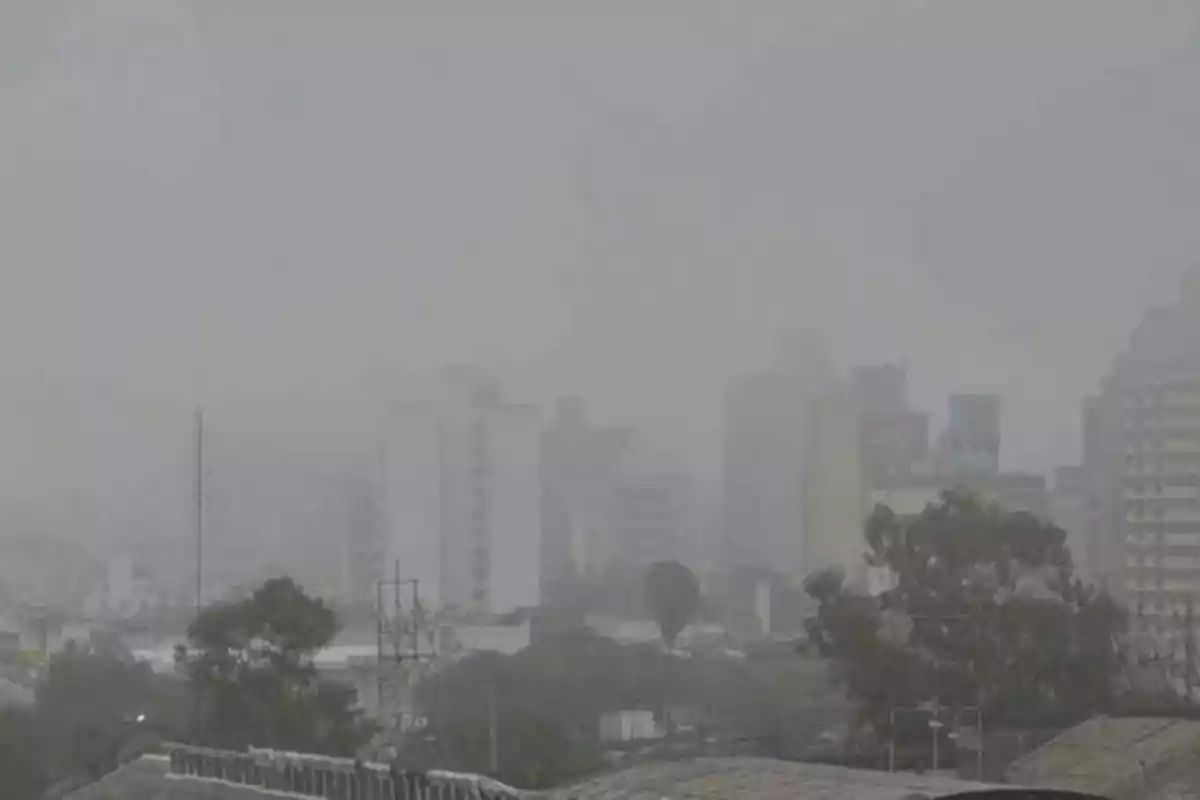 City with buildings and trees partially covered by dense fog or pollution