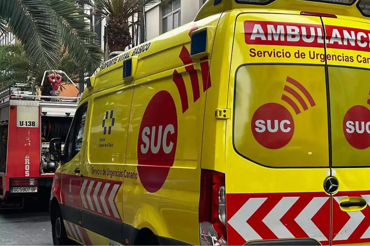 Yellow ambulance from the Canary Emergency Service parked next to a fire truck on a palm-lined street Yellow ambulance from the Canary Emergency Service parked next to a fire truck on a palm-lined street