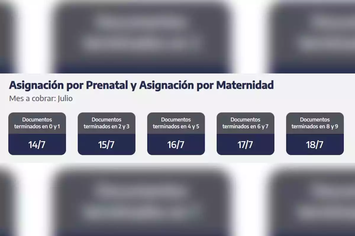 Calendario de pago de asignación por prenatal y maternidad para el mes de julio según la terminación del documento con fechas del 14 al 18 de julio Calendario de pago de asignación por prenatal y maternidad para el mes de julio según la terminación del documento con fechas del 14 al 18 de julio