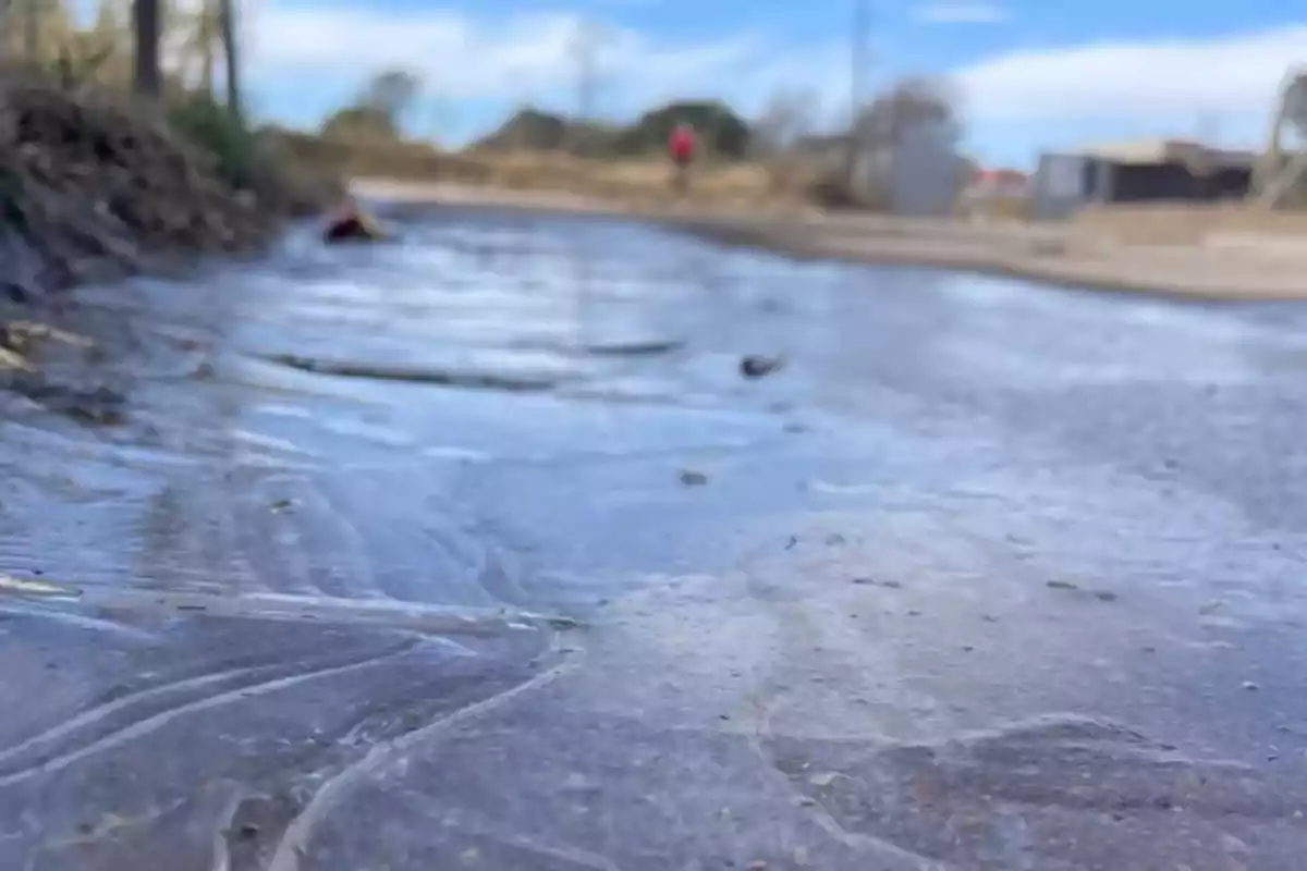 Carretera rural cubierta de una fina capa de hielo con vegetación a los lados y cielo azul al fondo