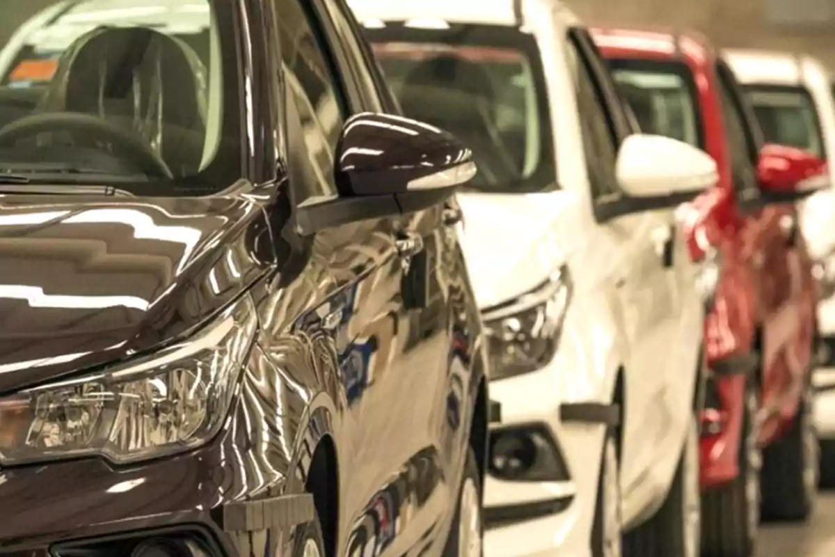 Fila de autos nuevos estacionados en una línea dentro de una fábrica o concesionaria Fila de autos nuevos estacionados en una línea dentro de una fábrica o concesionaria