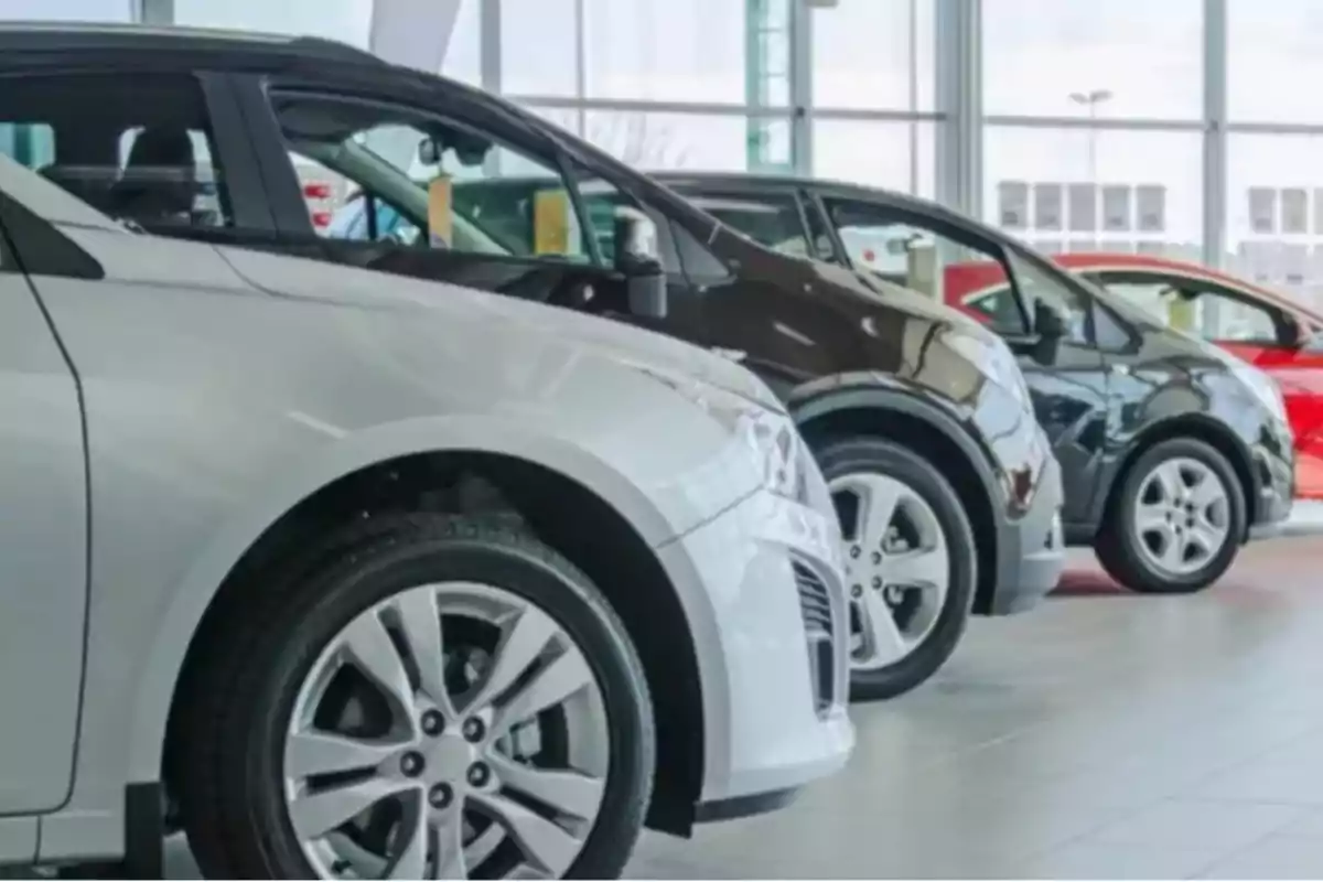 Fila de autos nuevos estacionados dentro de una agencia automotriz Fila de autos nuevos estacionados dentro de una agencia automotriz