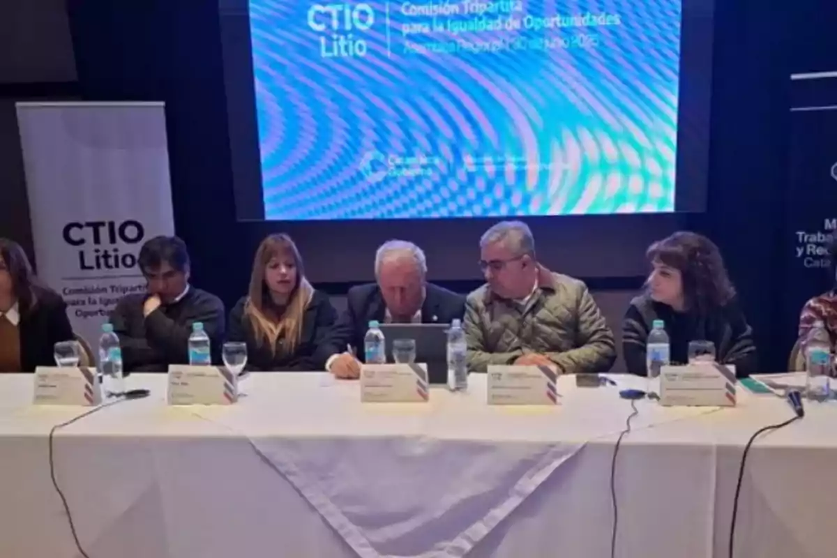 Several people seated at a table during a conference on lithium, with a blue screen in the background and water bottles on the table.