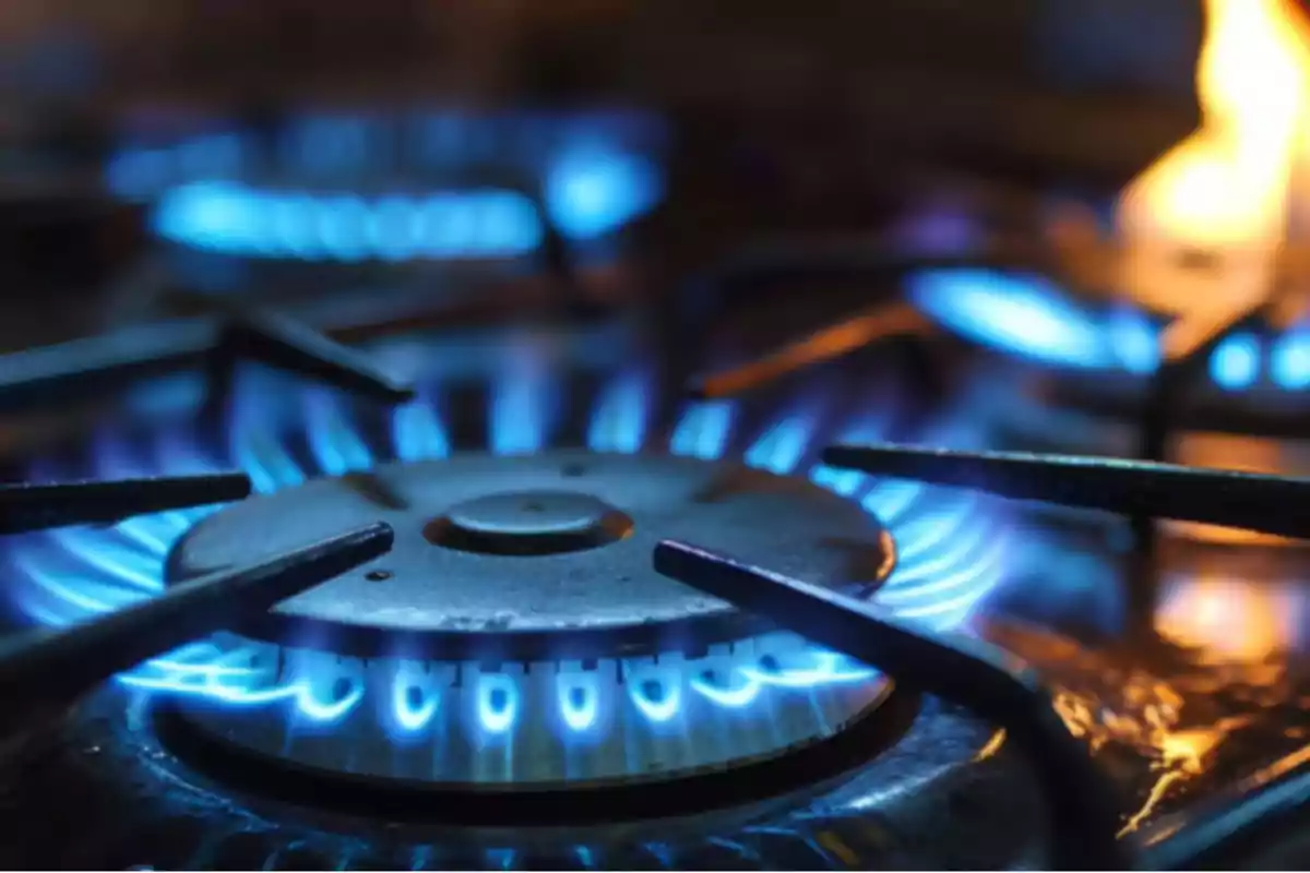 Gas stove turned on with several visible blue flames Gas stove turned on with several visible blue flames