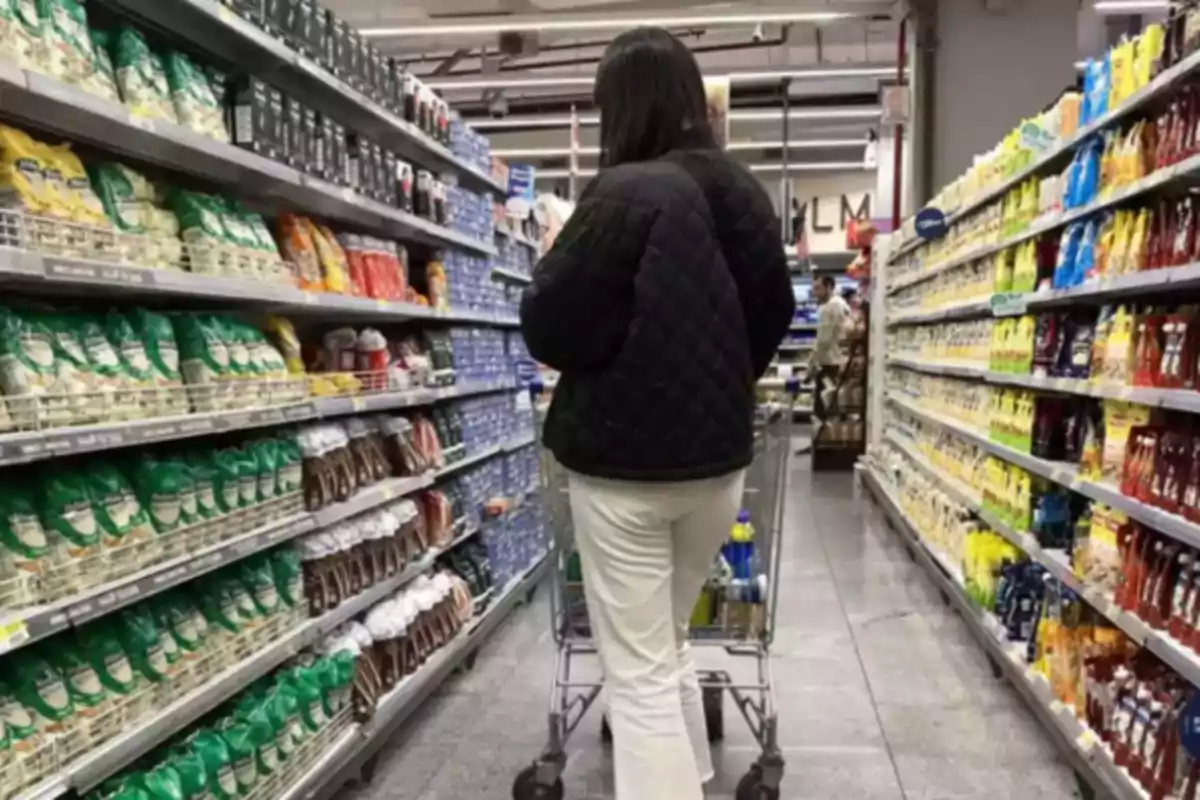 Persona de espaldas empujando un carrito de compras en un pasillo de supermercado rodeado de estantes llenos de productos. Persona de espaldas empujando un carrito de compras en un pasillo de supermercado rodeado de estantes llenos de productos.