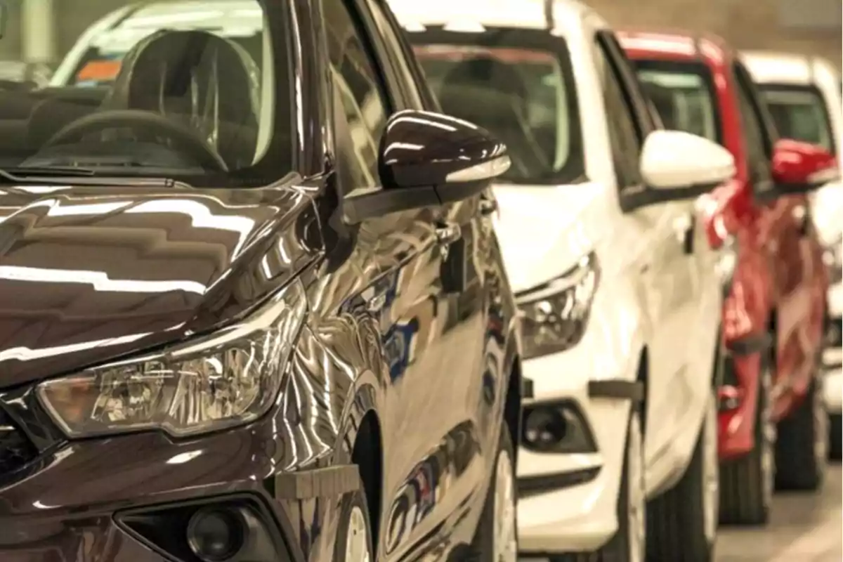 Fila de autos nuevos estacionados en una línea dentro de una fábrica o concesionaria