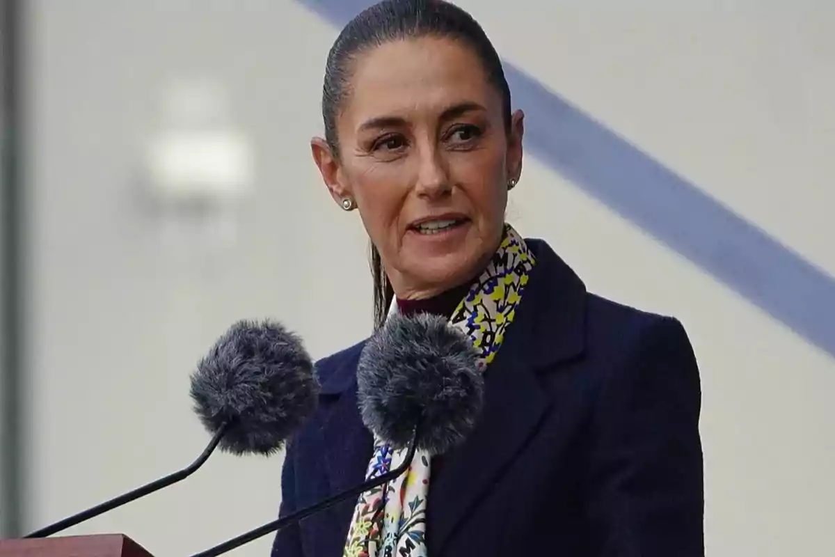 Mujer de cabello recogido hablando frente a dos micrófonos con fondo claro