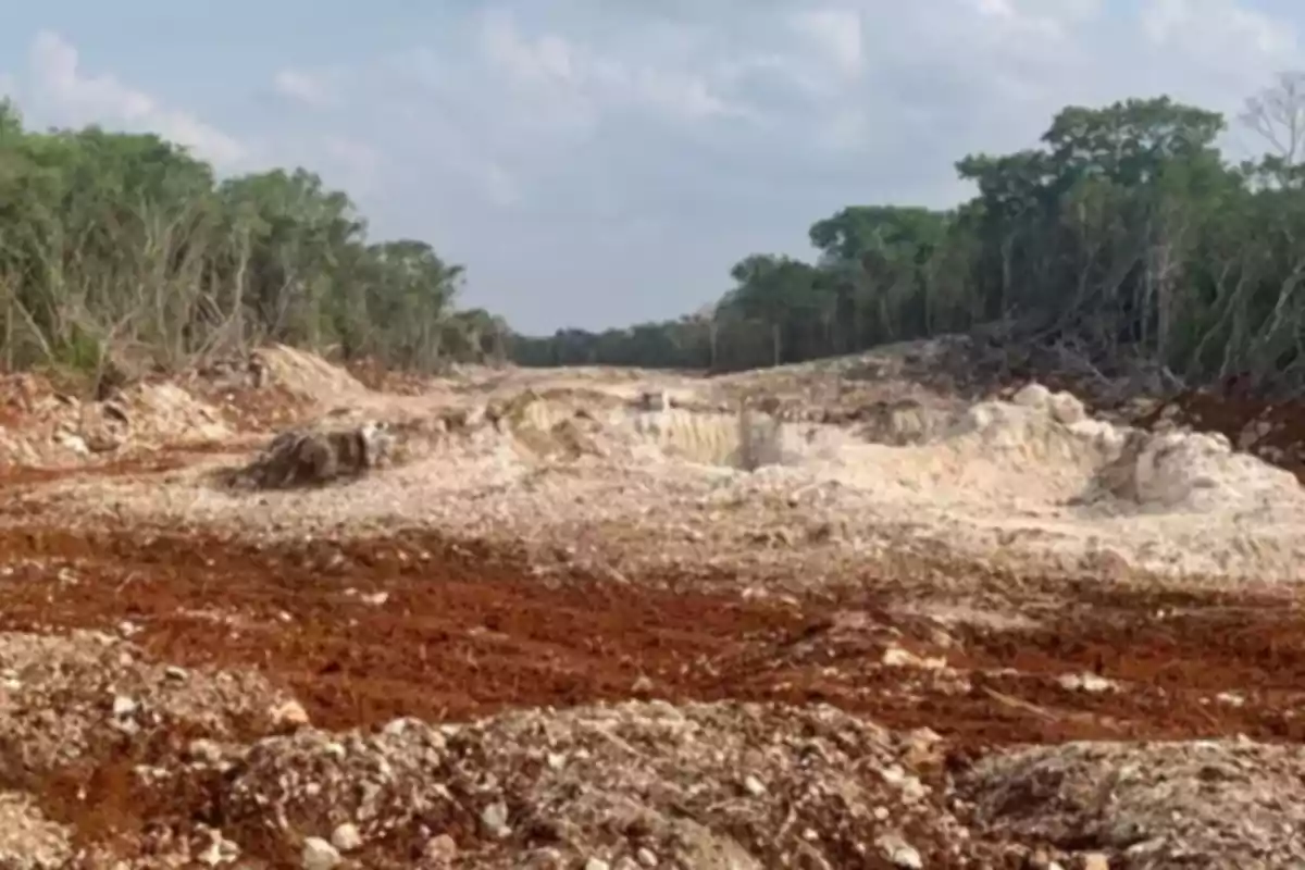 Deforested land with disturbed soil and vegetation in the background under a partly cloudy sky Deforested land with disturbed soil and vegetation in the background under a partly cloudy sky